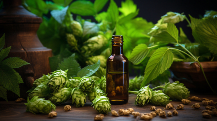 Hop Flower: Ignite Vibrant Health, Elevate Brewing - Illustrations 2 - Hop Flower 1